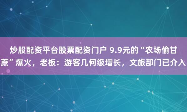 炒股配资平台股票配资门户 9.9元的“农场偷甘蔗”爆火，老板：游客几何级增长，文旅部门已介入