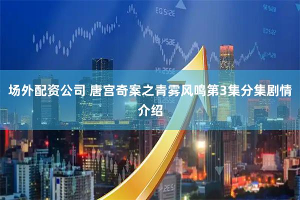 场外配资公司 唐宫奇案之青雾风鸣第3集分集剧情介绍